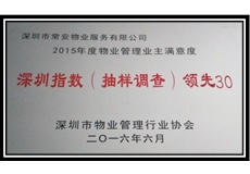 深圳指數(shù)（抽樣調查）領先30